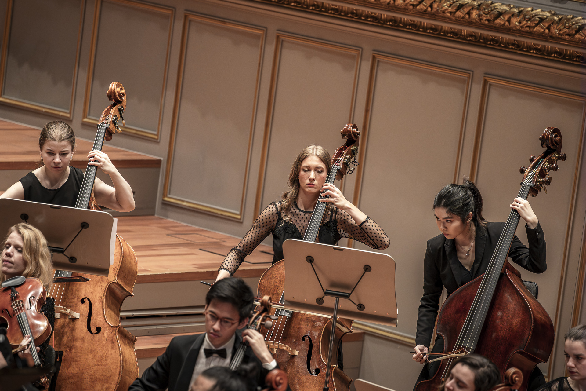 Kontrabassgruppe des Empyrean Orchestra